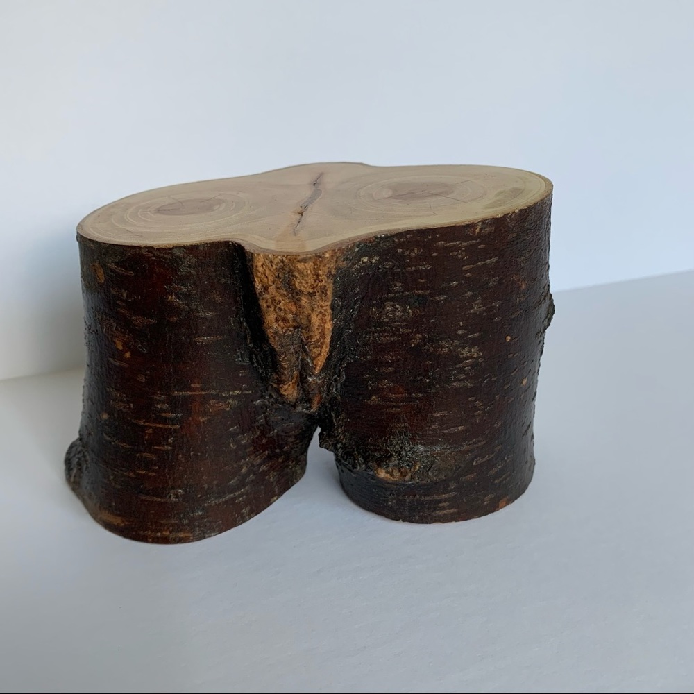 Statue, Bust, Natural Home Decor, Tree Branch Shelf Decor, crotch bust, sustaina